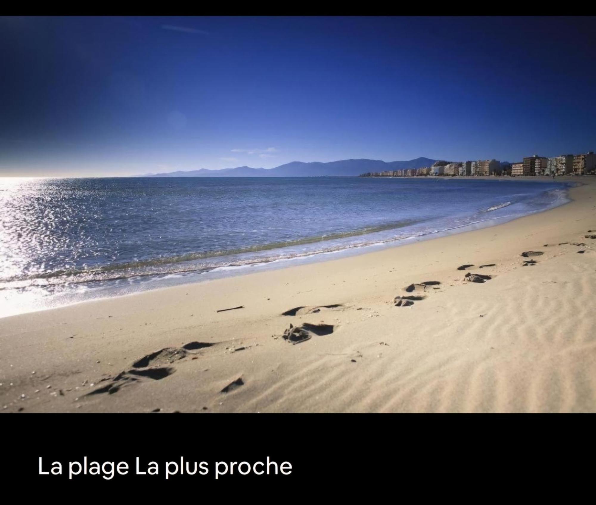 Appartement Cosy Le Phoebus Canet-en-Roussillon Exterior foto